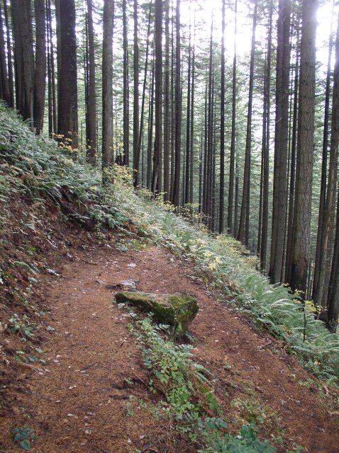 10.28.05 Devil's Rest 107 